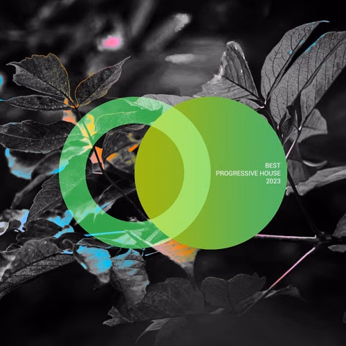 Steps (Original Mix)